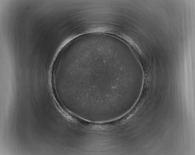 X0000116451086200912151255