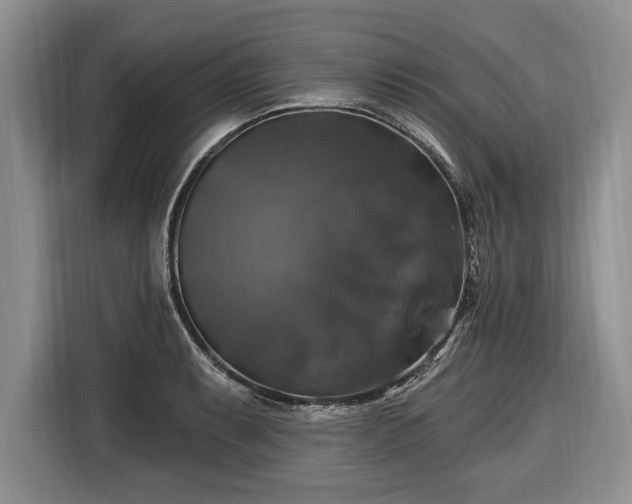 X0000116451087200912151255