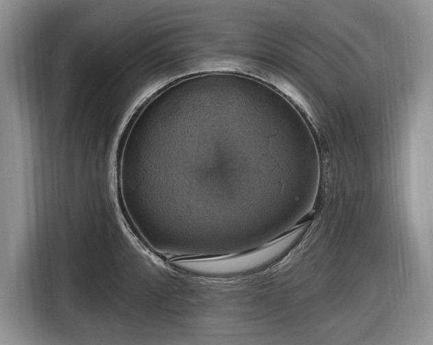 X0000116451088200912151255