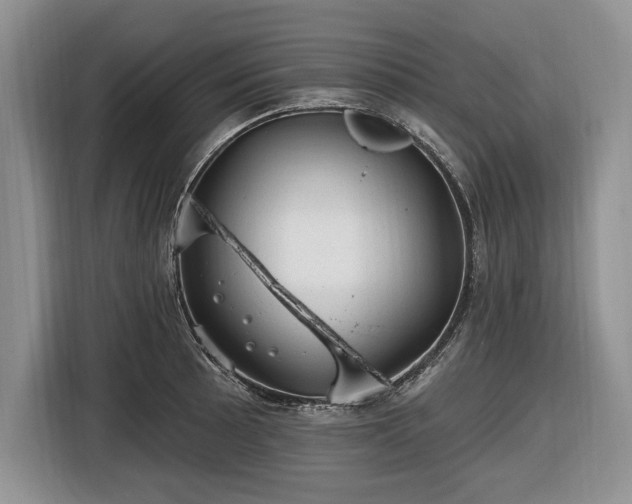 X0000116451089200912151255