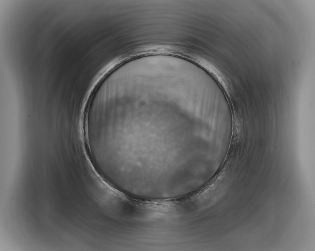 X0000116451090200912151255