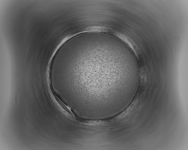 X0000116451091200912151255