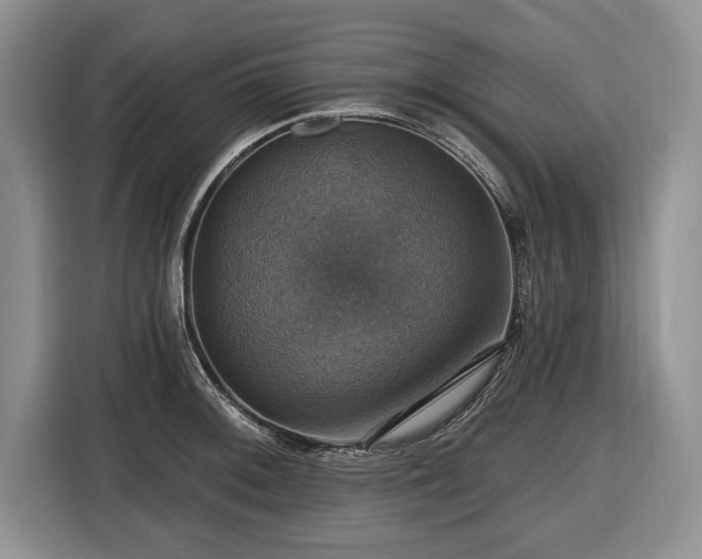 X0000116451092200912151255