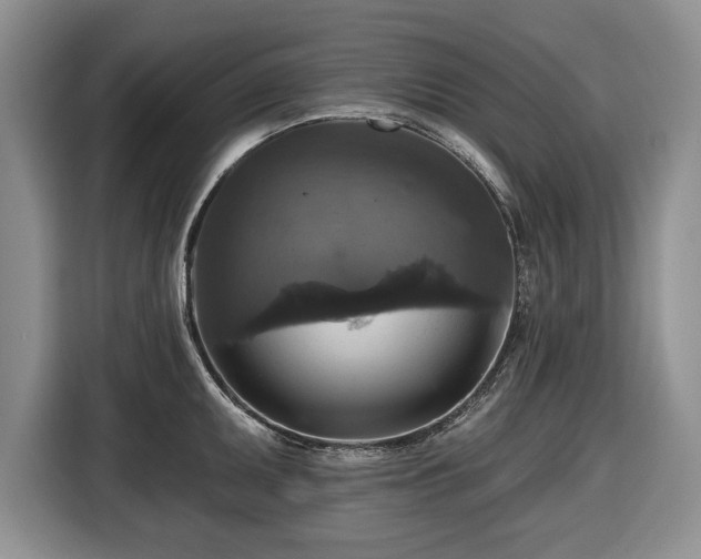 X0000116451095200912151255