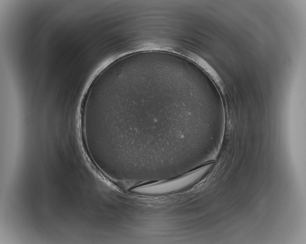 X0000116451096200912151255