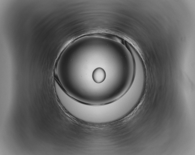 X0000116451097200912151255