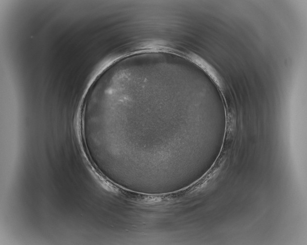 X0000116451098200912151255