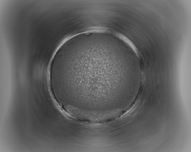X0000116451099200912151255