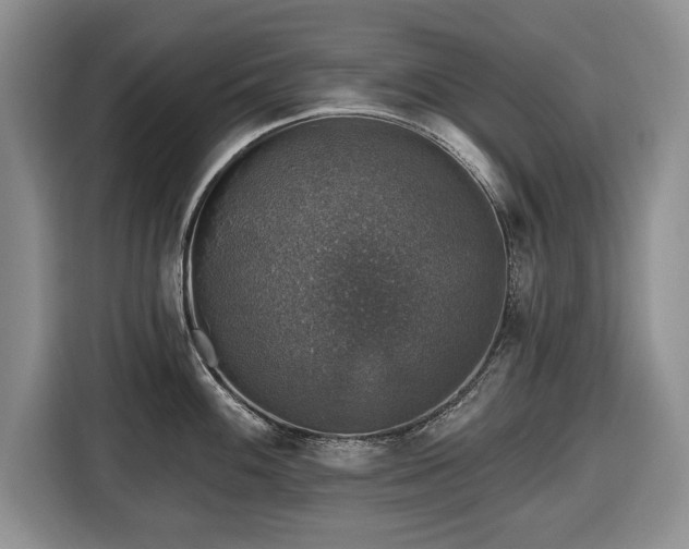 X0000116451100200912151255