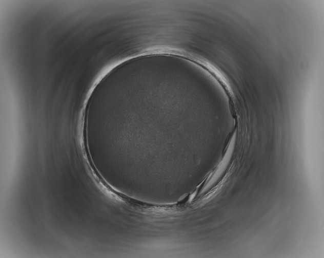 X0000116451102200912151255