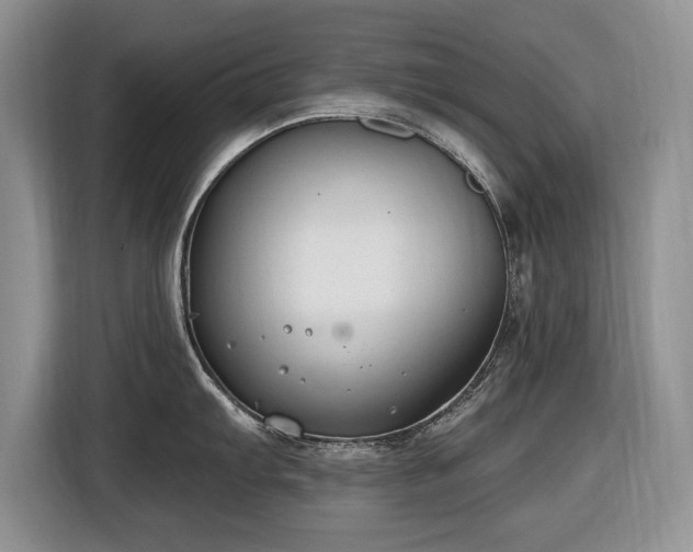 X0000116451103200912151255