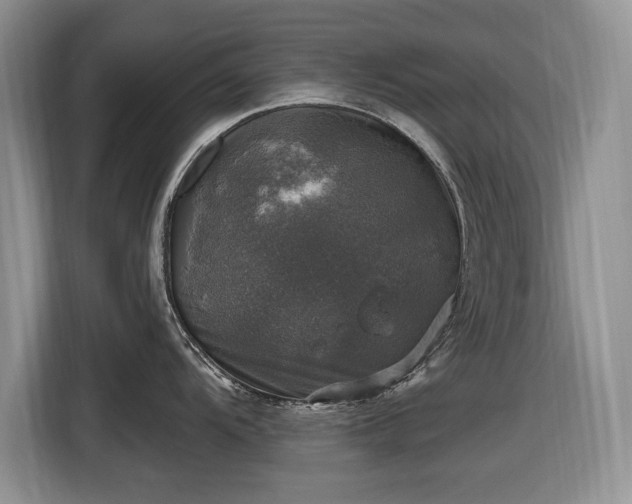 X0000116451104200912151255