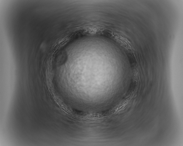 X0000116451105200912151254