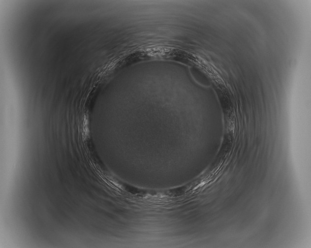 X0000116451106200912151254