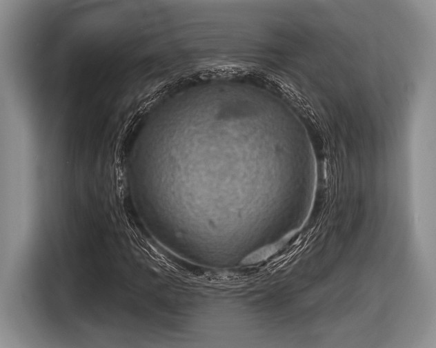 X0000116451109200912151254