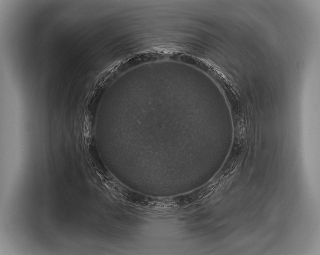 X0000116451110200912151254
