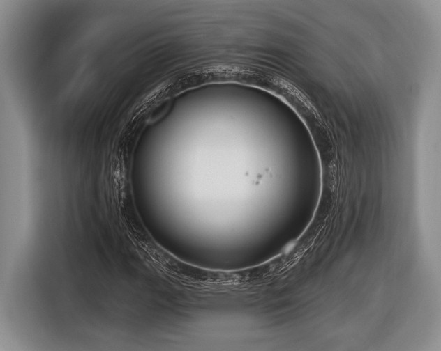 X0000116451111200912151254