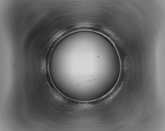 X0000116451113200912151254