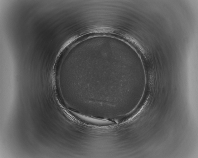 X0000116451114200912151254