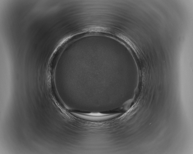 X0000116451115200912151254