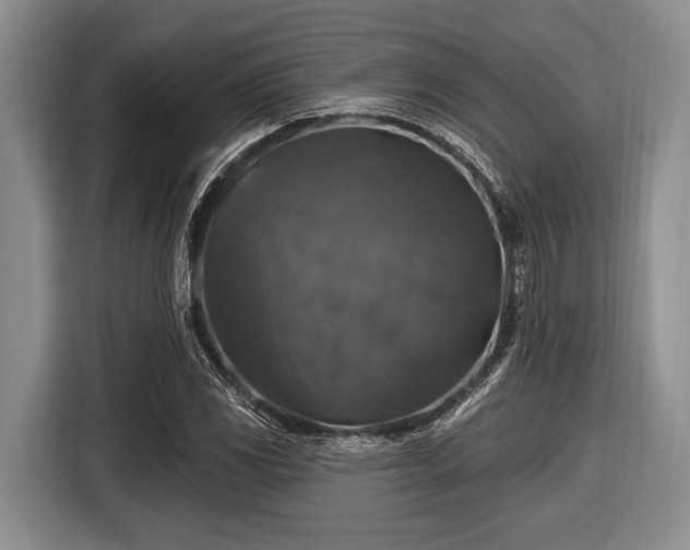 X0000116451117200912151254