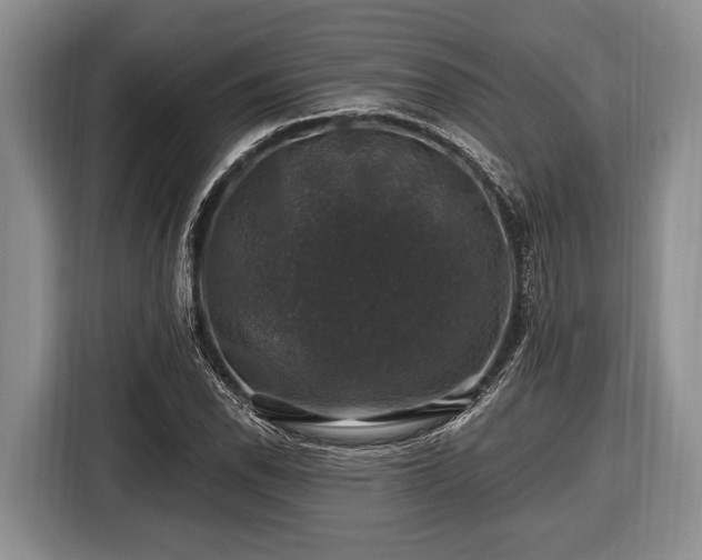 X0000116451118200912151254