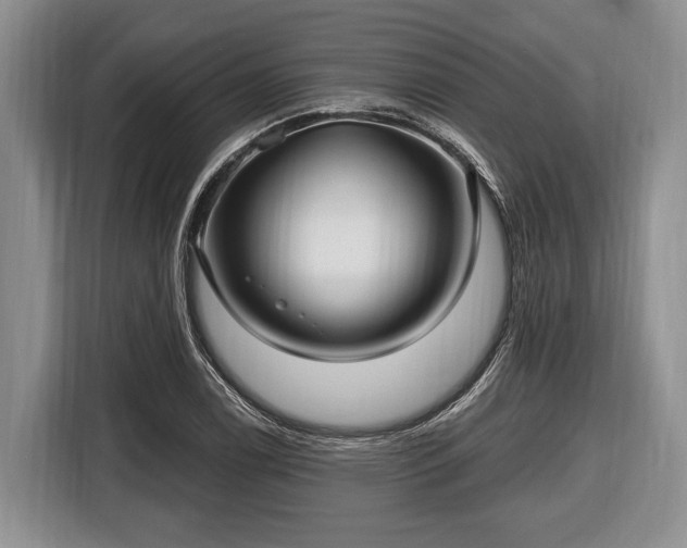 X0000116451122200912151254