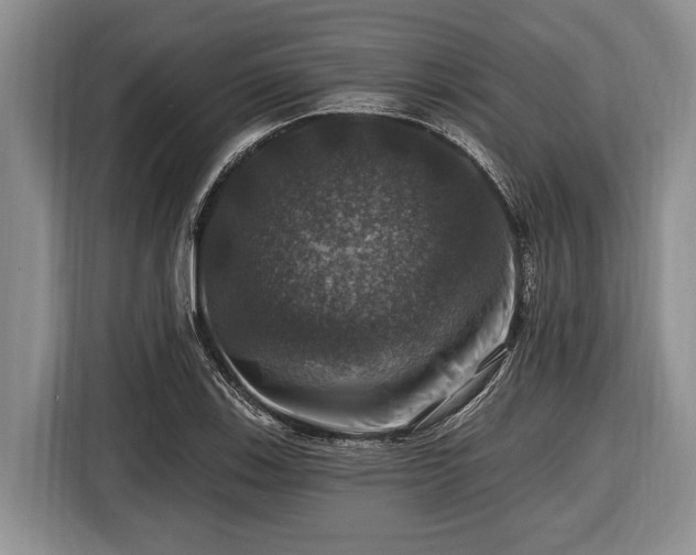 X0000116451123200912151254