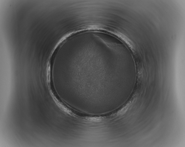 X0000116451126200912151255