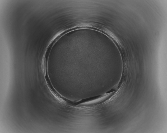 X0000116451127200912151255