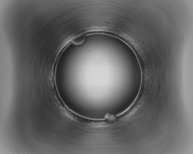 X0000116451129200912151255