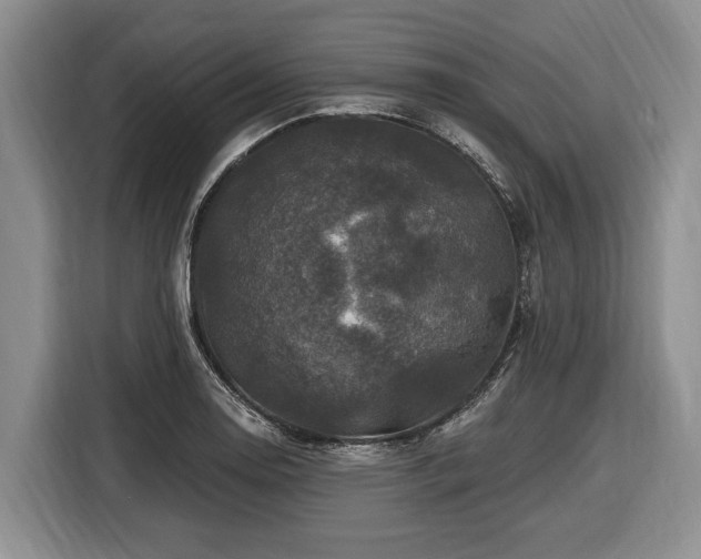 X0000116451130200912151255