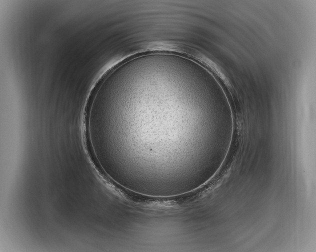 X0000116451133200912151255