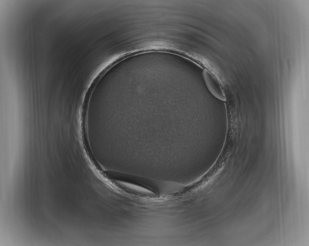 X0000116451134200912151255