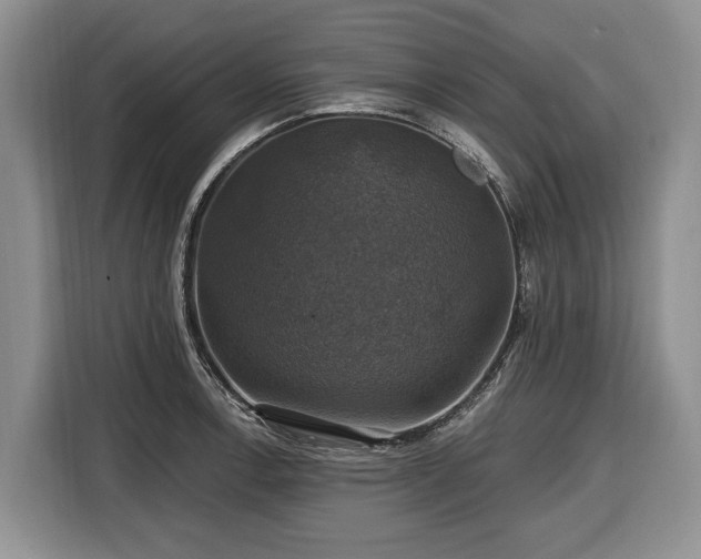 X0000116451138200912151255