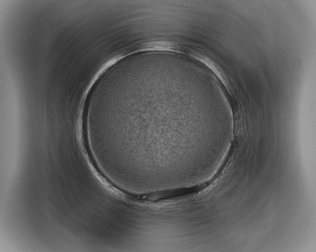 X0000116451139200912151255