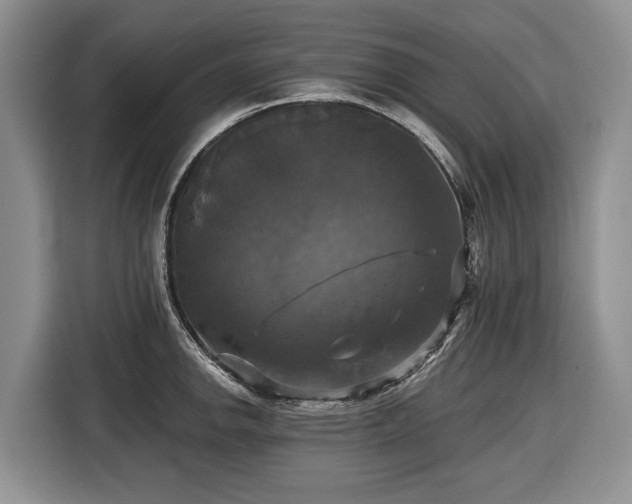 X0000116451142200912151255