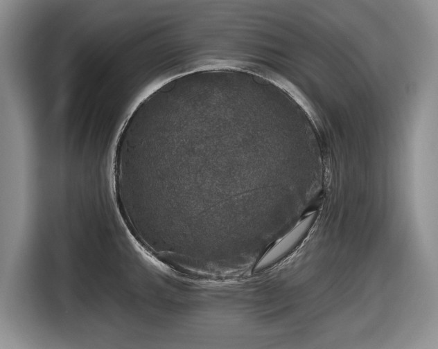 X0000116451143200912151255