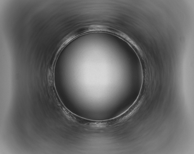 X0000116451145200912151255