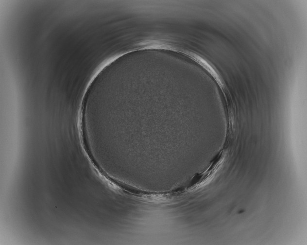 X0000116451149200912151255