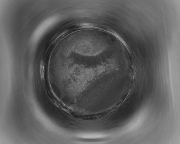 X0000116451151200912151255