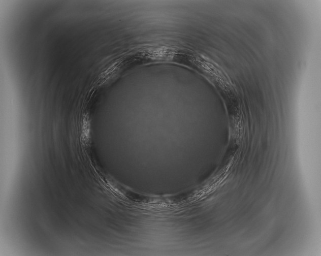X0000116451154200912151254