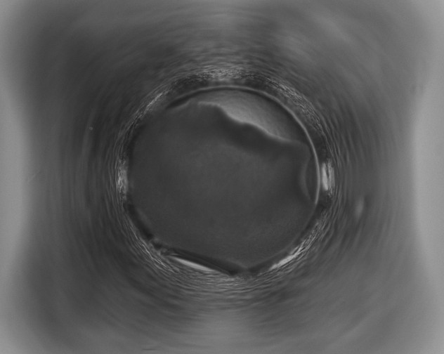 X0000116451155200912151254