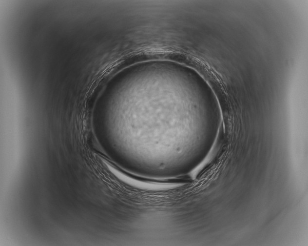 X0000116451157200912151254