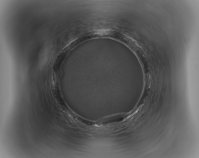 X0000116451158200912151254