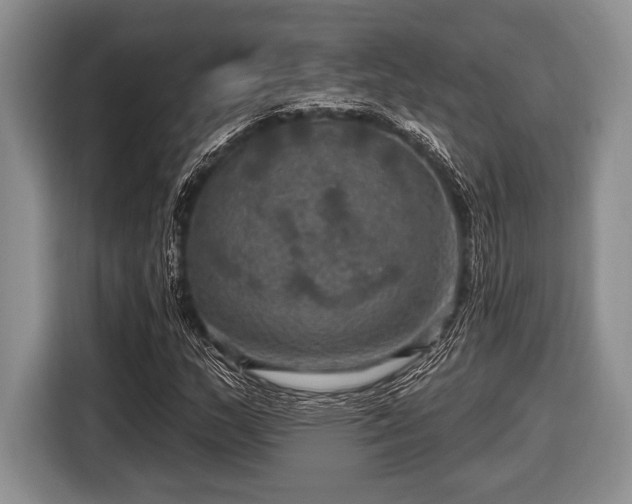 X0000116451159200912151254