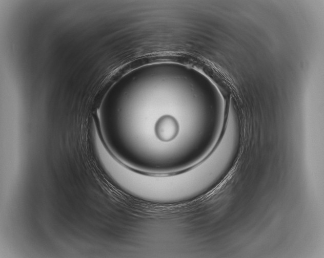 X0000116451161200912151254