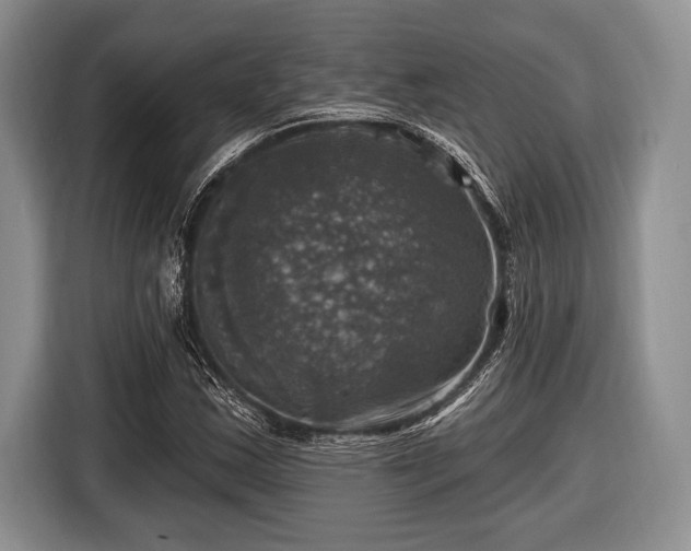 X0000116451163200912151254
