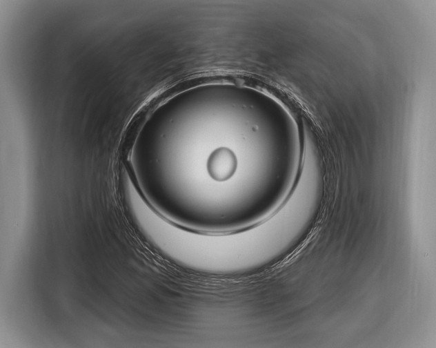 X0000116451165200912151254