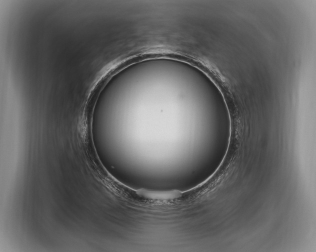 X0000116451167200912151254